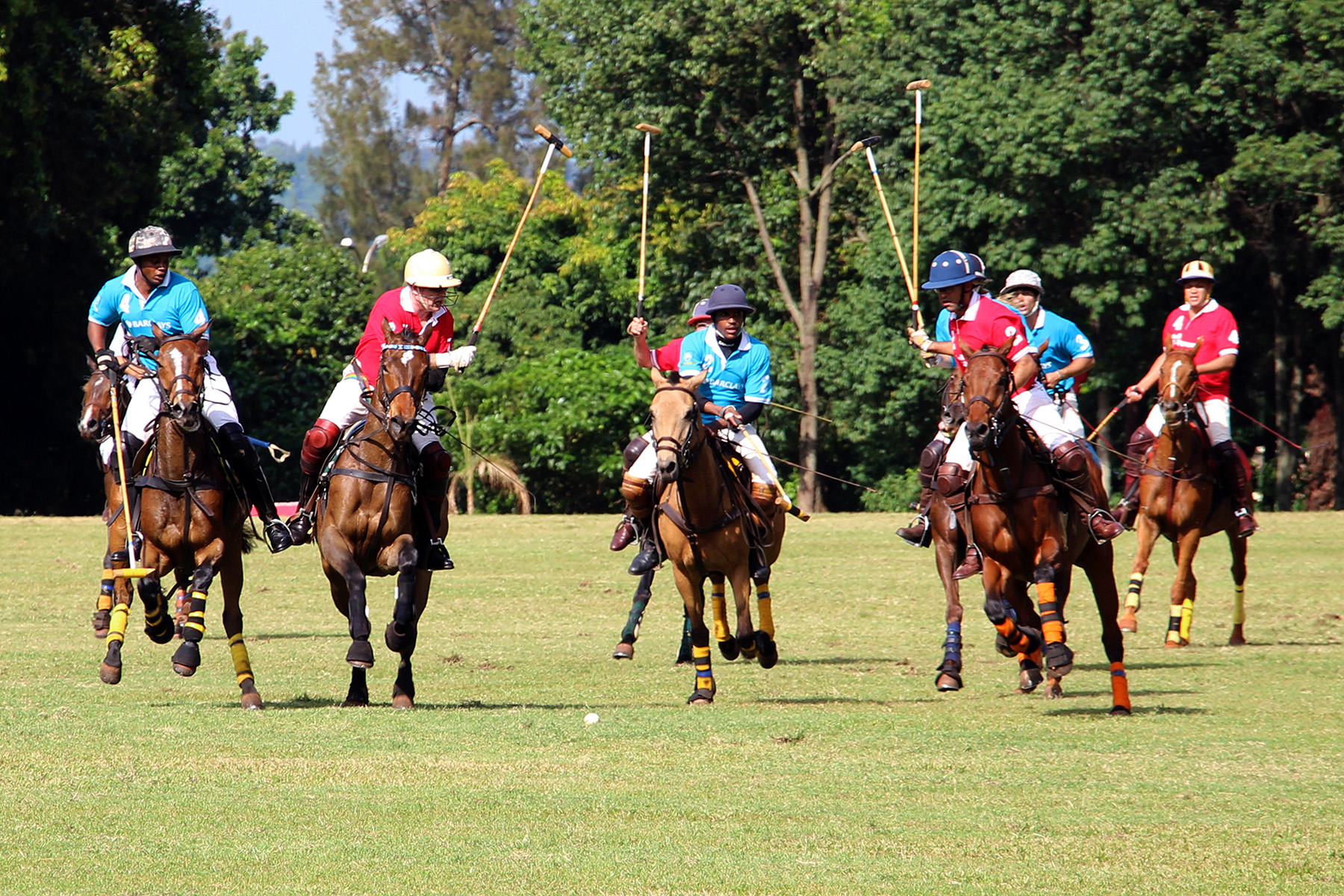 The Polo game between Barclays and Shell V-Power. 