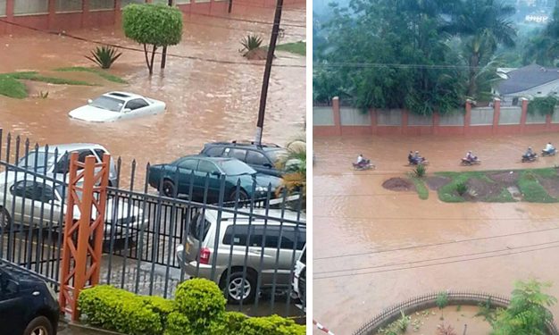 These photos were taken near the Uganda Museum by The Observer.
