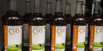 COVID Organics (CVO), the herbal tea from Madagascar said to 'cure' COVID-19.
