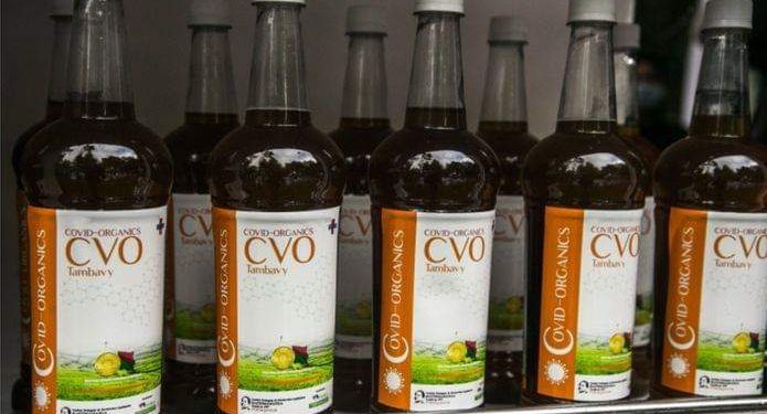 COVID Organics (CVO), the herbal tea from Madagascar said to 'cure' COVID-19.