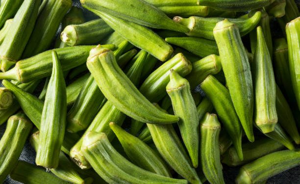 Raw Green Organic Okra Vegetables Ready to Cook
