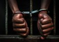 Prisoner holding metal cage in jail, no freedom concept