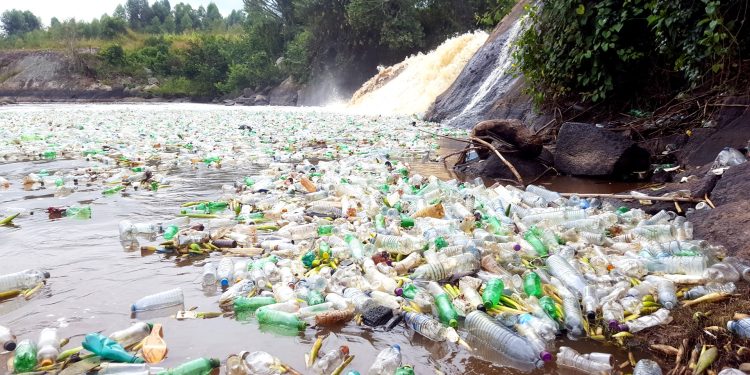 Plastic bottles floating on River Rwizi.