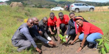 Absa bank staff and Bishop stuart Univeristy staff plant trees in commemoration of the World Earth Day.