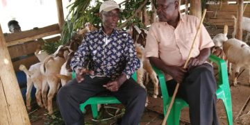Gen Kayihura (in a cap) and government spokesperson Ofwono Opondo at the farm.